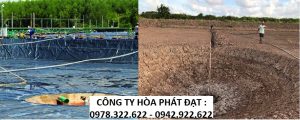 Bảng Giá Bạt Phủ Lót Ao Hồ Nuôi Thủy Sản, Bạt HPDE Chống Thấm Nước